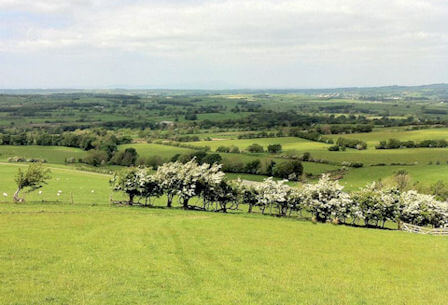 prevailing wind and navigation