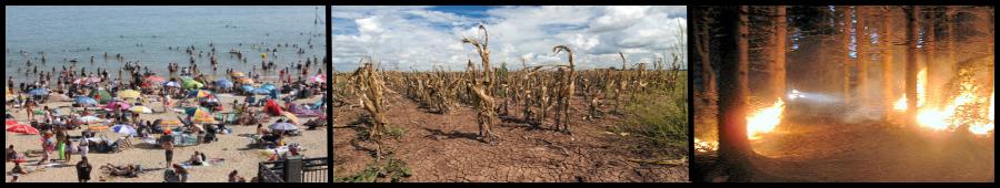 Surviving a heatwave